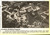 1960 sacred heart lake forester_tiny